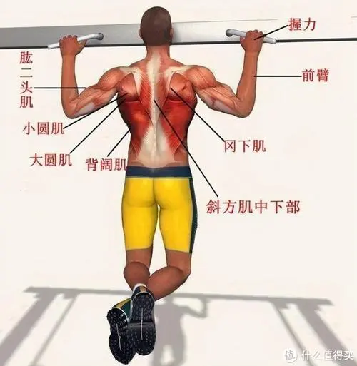 九游娱乐：红黑网球拍平价型号